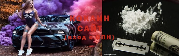 тгк Абаза