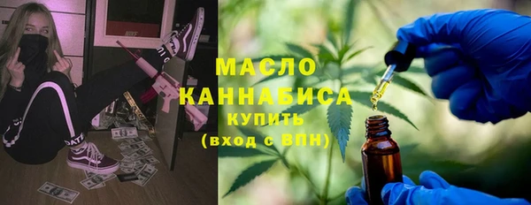 тгк Абаза