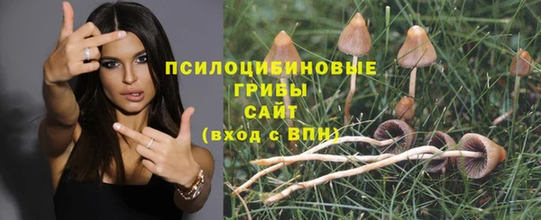 тгк Абаза