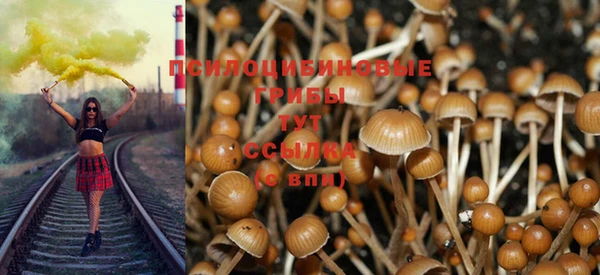 ECSTASY Алзамай