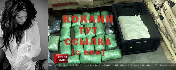 тгк Абаза