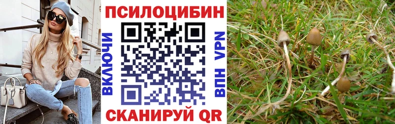 hydra ТОР  Дербент  Галлюциногенные грибы Magic Shrooms  магазин  наркотиков 