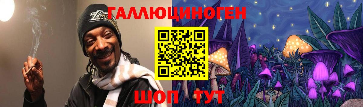 Галлюциногенные грибы Psilocybe  Вход с VPN  Дербент 